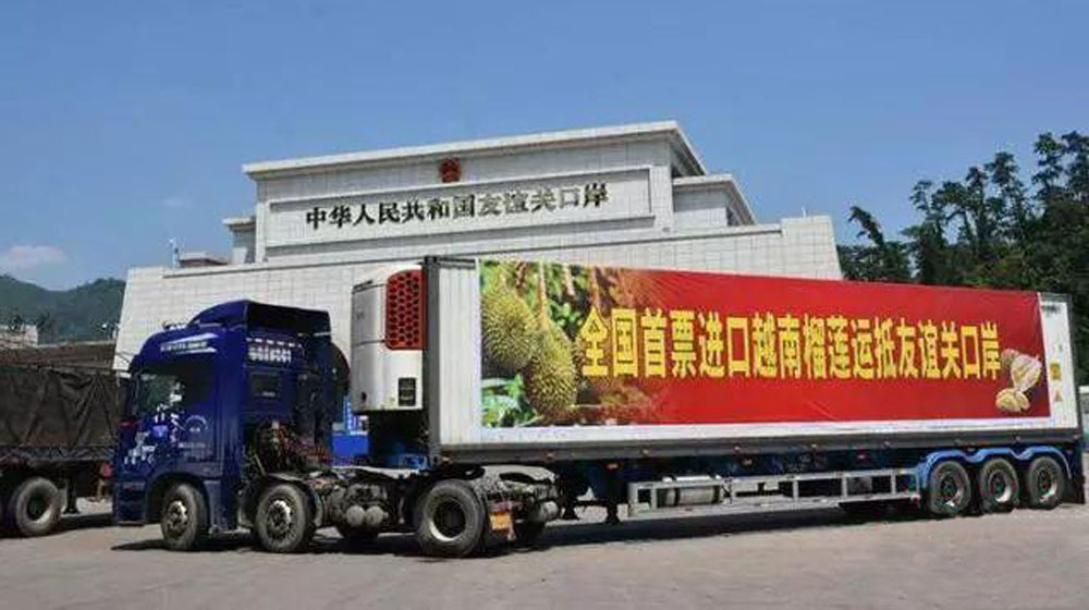 【灼见】越南榴梿飘香而至/罗传钰博士